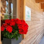 Haus Fernwald Jill Und Rens Lägenhet Alpbach