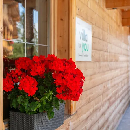 Daire Haus Fernwald Jill Und Rens